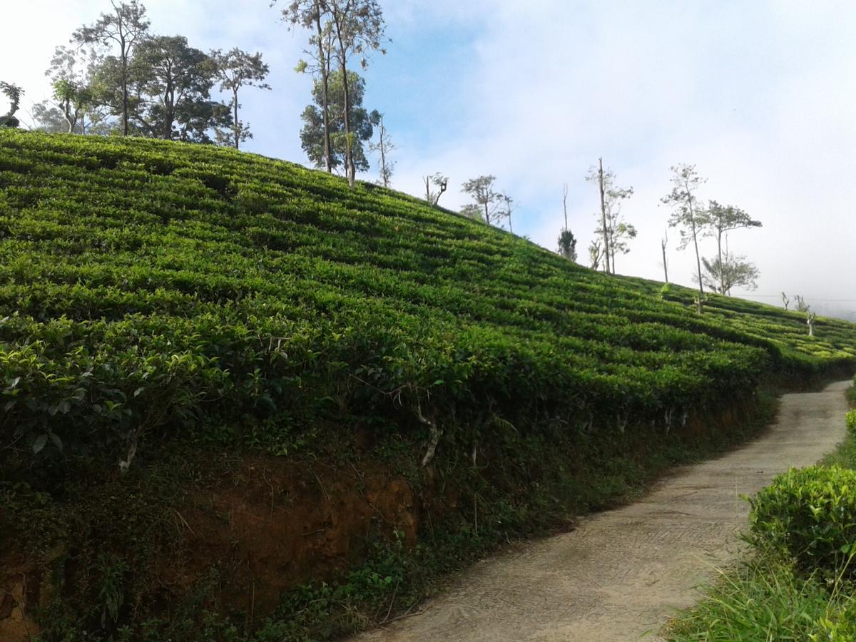 Yoho Nilmini Homestay Ella Exterior foto